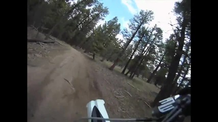 Gopro Hd Hero camera_ Mx Tree Run