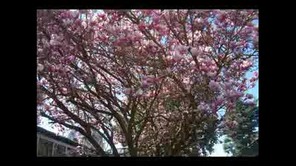 Kenny G. - Forever In Love