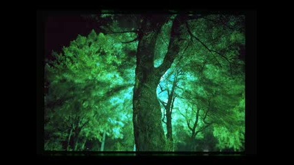 Gheorghe Zamfir - Love story