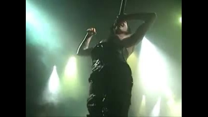 The Fight Song ( (live From Guns, God, and Government) ) 