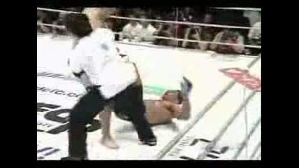 Mirko Crocop Highlight