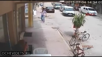 Котка напада куче пред очите на стопанина си
