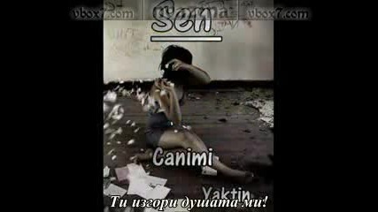 11179586.flv