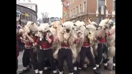 Pernik Surva 2010 - 1
