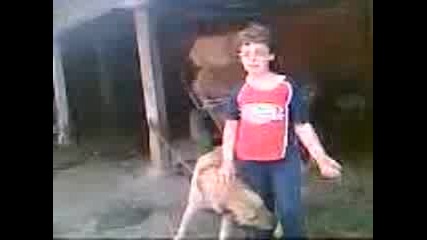 Video004.3gp