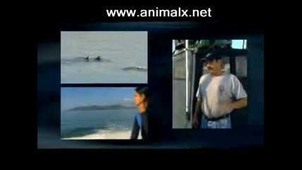 part 3 monsters of the deep animal X natural mystery unit 