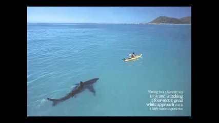 Top 20 Most Unbelievable Photos Part 4