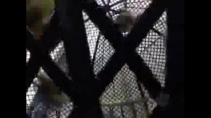 Motor Tricks 