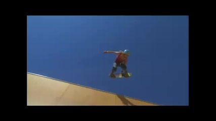 Skate - Pro - file on Skateboarder Lyn - Z Adams Hawkins 