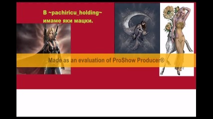 ~pachiricu_holding~ is the best