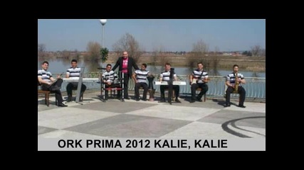 New Ork Prima 2012 Kalie, Kalie