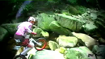 Mountain bike