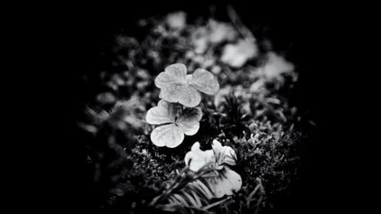 Keepa Koon - Spring Flowers (the Mint Frame Of Mind Mix)