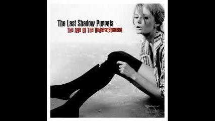 The Last Shadow Puppets - My Mistakes Were Made For You