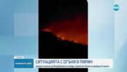 Пожарът в Пирин е овладян, тези в областите Ямбол и Сливен  - също