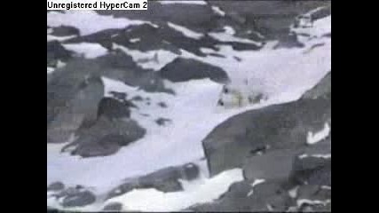 Забавни Падания