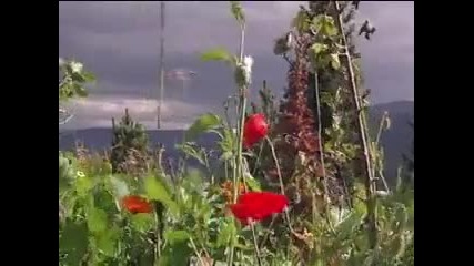 Планинско стопанство | Permaculture with Sepp Holzer