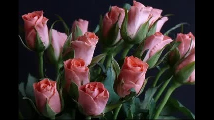 Igor Krutoi - Roses for you 