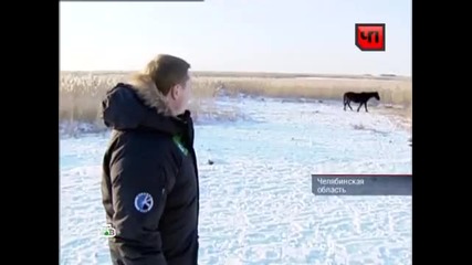 Нло в Аширово 2012