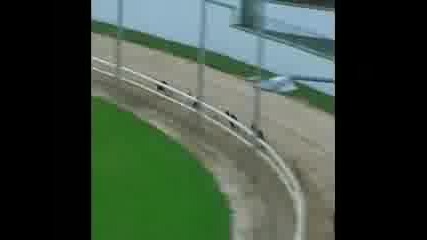 ku4e6ko sastezanie