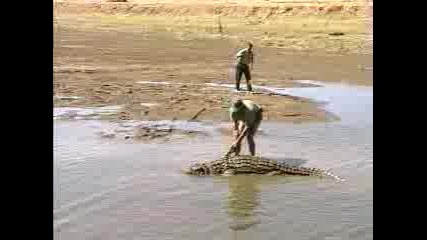 Лов На Крокодил 4