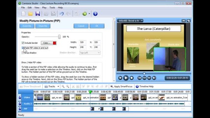 (3.7) Camtasia Studio 5 - Modify a Picture - in - Picture Clip
