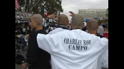 Charlie row campo - bad cuz im brown