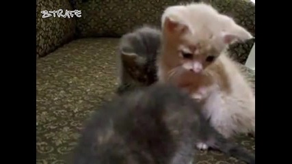 Охх заспива