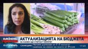 Ваня Григорова от КТ "Подкрепа" за актуализацията на бюджета