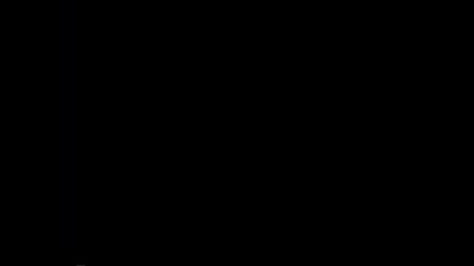 Dragovishtica
