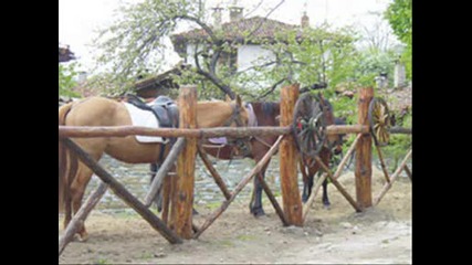 Razlichni Vidove Kone.wmv