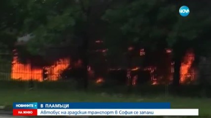 Автобус на градския транспорт се запали в София