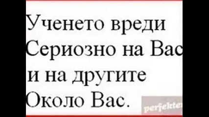 Яки Картинки