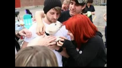 Paramore with their cute puppy (mila)