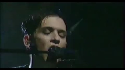 Placebo Peeping Tom
