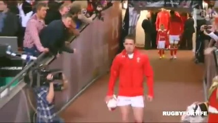 Tribute To Shane Williams
