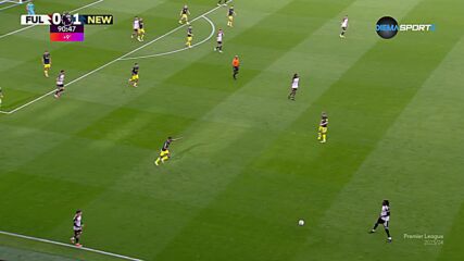 Newcastle United with a Goal vs. Fulham
