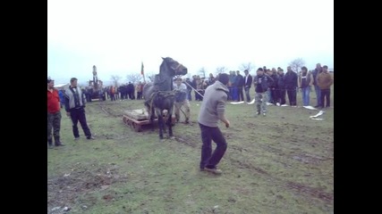 Дико - Тодоровден Сопот 2013