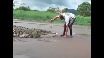 Вижте този луд какво прави с крокодила ! Как не изпитва страх ?