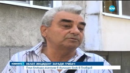 Асансьор пропадна заради плъх в Пловдив