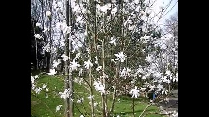 L'eveil de la Nature