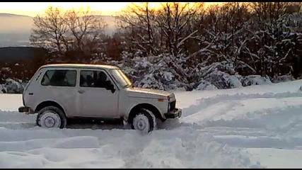 нива в снега