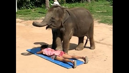 Слон масажира жена