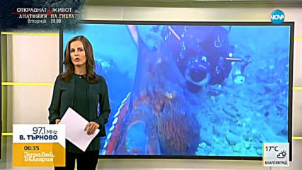 Любвеобилен октопод прегръща водолаз, който го снима