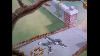 Том и Джери - Flity Bidy