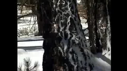 Snowboard Psychos