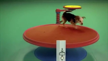 Машина за забавление на кучета
