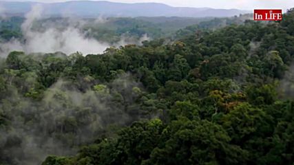 АРХИТЕКТИ SKY FOREST