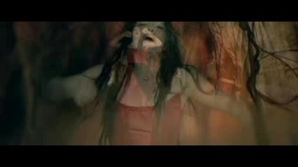 Evanescence - Sweet Sacrifice Dvdrip Bgsubbed
