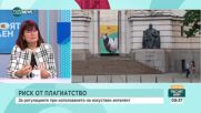 Изкуственият интелект и рискът от плагиатство: Какви са регулациите